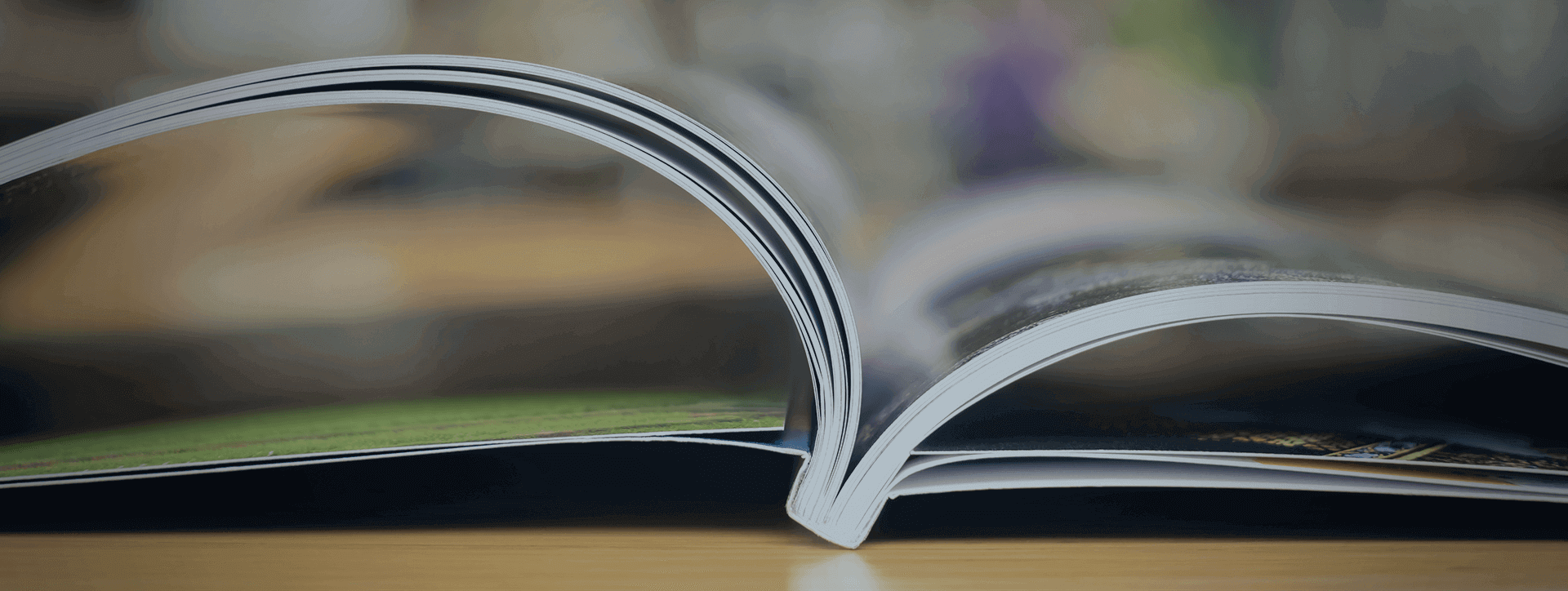 Banner Revista