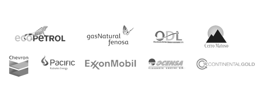 Nuestros clientes Oil & Gas